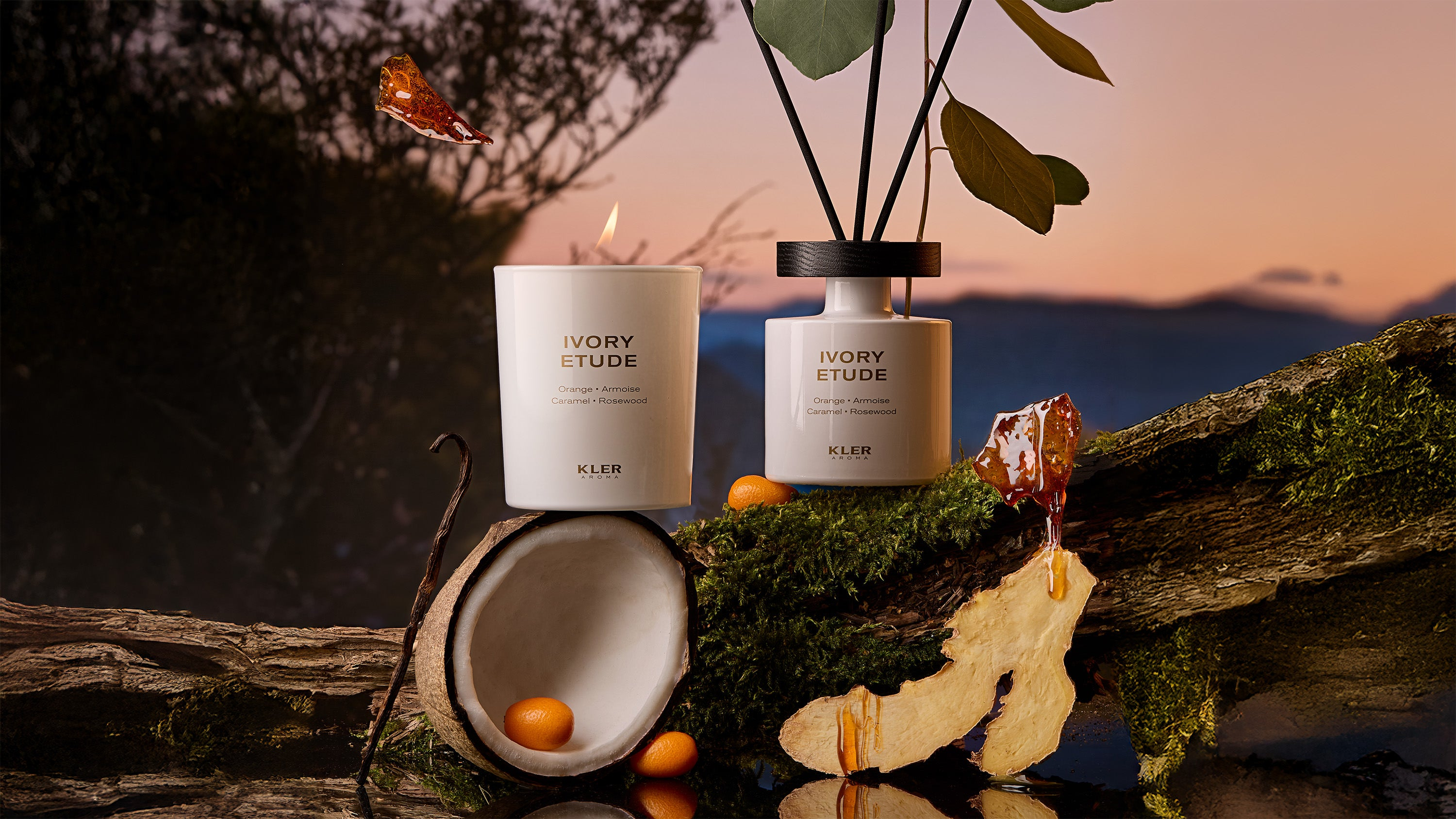 IVORY ETUDE